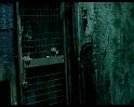 PDVD_1196