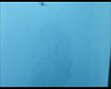 PDVD_1240