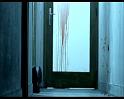 PDVD_1262