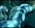 PDVD_1366