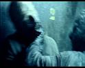 PDVD_1379