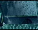 PDVD_1380