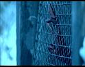 PDVD_1403