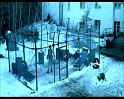 PDVD_1419