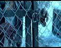 PDVD_1424