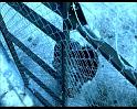 PDVD_1430