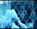 PDVD_1436
