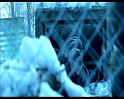 PDVD_1437