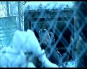 PDVD_1438