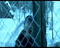PDVD_1443