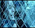PDVD_1452
