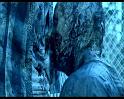 PDVD_1462