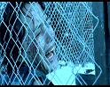 PDVD_1471