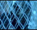 PDVD_1480