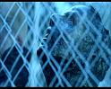PDVD_1481