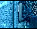 PDVD_1485