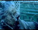 PDVD_1488