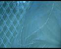 PDVD_1490