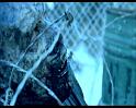 PDVD_1530