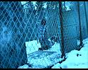 PDVD_1549