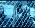 PDVD_1560