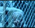 PDVD_1563
