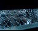 PDVD_305