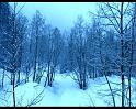 PDVD_316