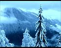 PDVD_377