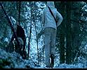PDVD_833