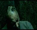 PDVD_834