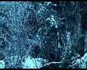 PDVD_840