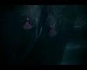 PDVD_303