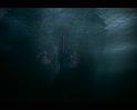 PDVD_304