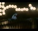 PDVD_319