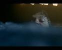 PDVD_324