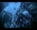 PDVD_331