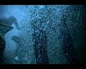 PDVD_334