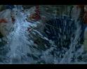 PDVD_351