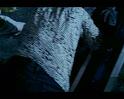 PDVD_354