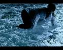 PDVD_369