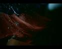 PDVD_377