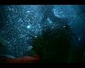 PDVD_380