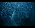 PDVD_383