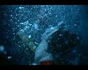 PDVD_384