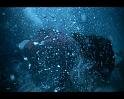 PDVD_386
