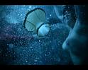 PDVD_387