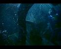 PDVD_388