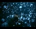 PDVD_398