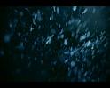 PDVD_399